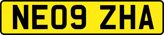NE09ZHA