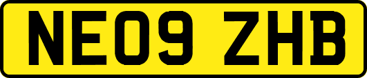 NE09ZHB