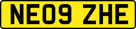 NE09ZHE