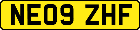 NE09ZHF