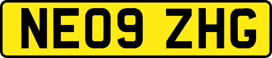 NE09ZHG