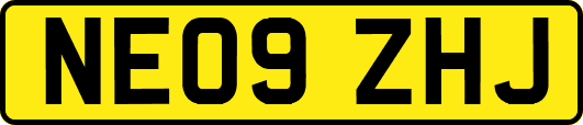 NE09ZHJ