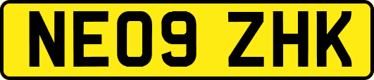 NE09ZHK