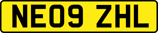 NE09ZHL