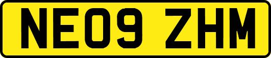 NE09ZHM