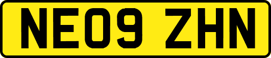 NE09ZHN