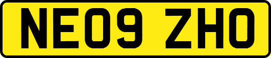 NE09ZHO
