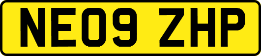 NE09ZHP