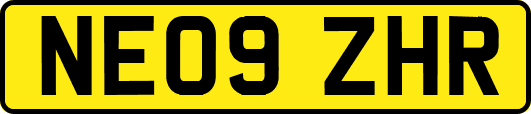 NE09ZHR