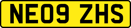 NE09ZHS