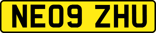NE09ZHU