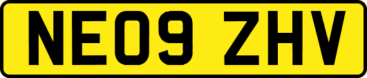 NE09ZHV