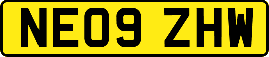 NE09ZHW