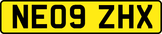NE09ZHX