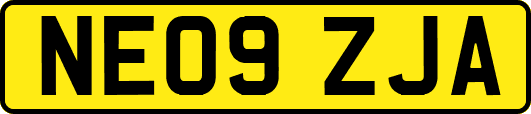 NE09ZJA