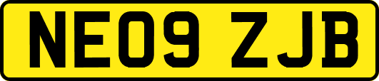 NE09ZJB