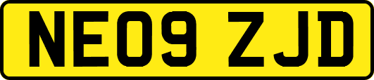 NE09ZJD