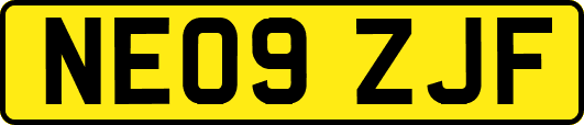NE09ZJF