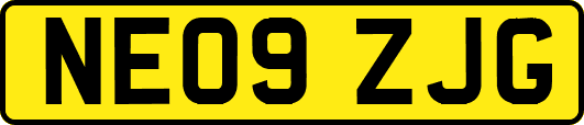 NE09ZJG