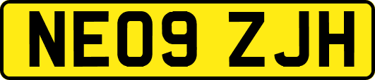 NE09ZJH