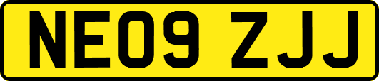 NE09ZJJ
