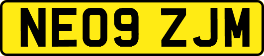 NE09ZJM