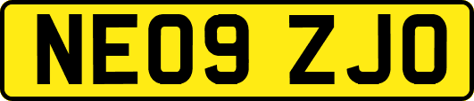 NE09ZJO
