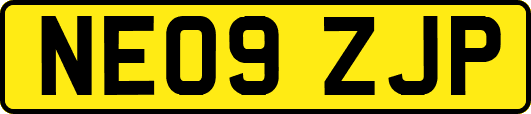 NE09ZJP