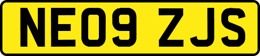 NE09ZJS