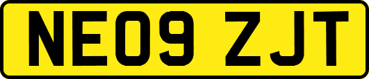 NE09ZJT