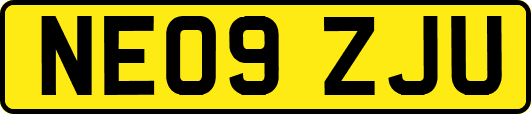 NE09ZJU