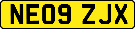 NE09ZJX
