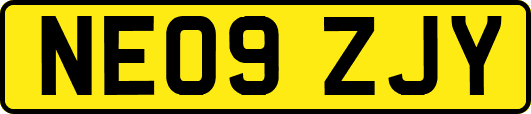 NE09ZJY