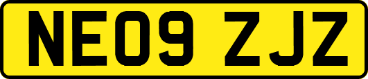 NE09ZJZ
