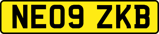 NE09ZKB