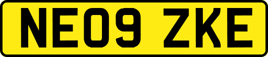 NE09ZKE