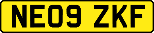 NE09ZKF