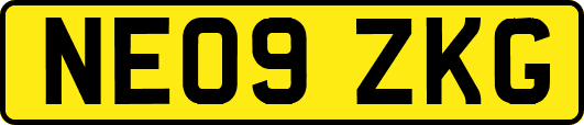 NE09ZKG