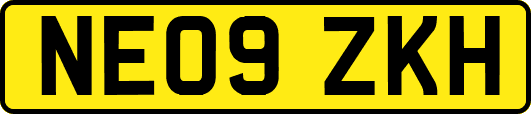 NE09ZKH