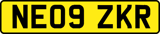 NE09ZKR