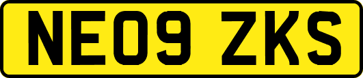 NE09ZKS
