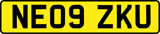 NE09ZKU