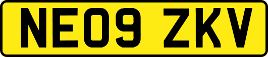 NE09ZKV