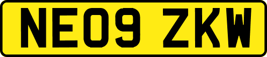 NE09ZKW