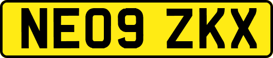 NE09ZKX