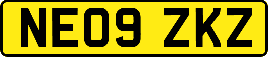 NE09ZKZ
