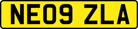 NE09ZLA