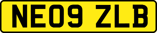 NE09ZLB