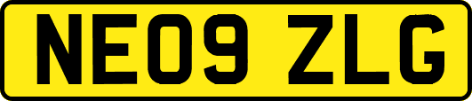 NE09ZLG