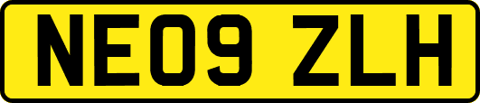 NE09ZLH